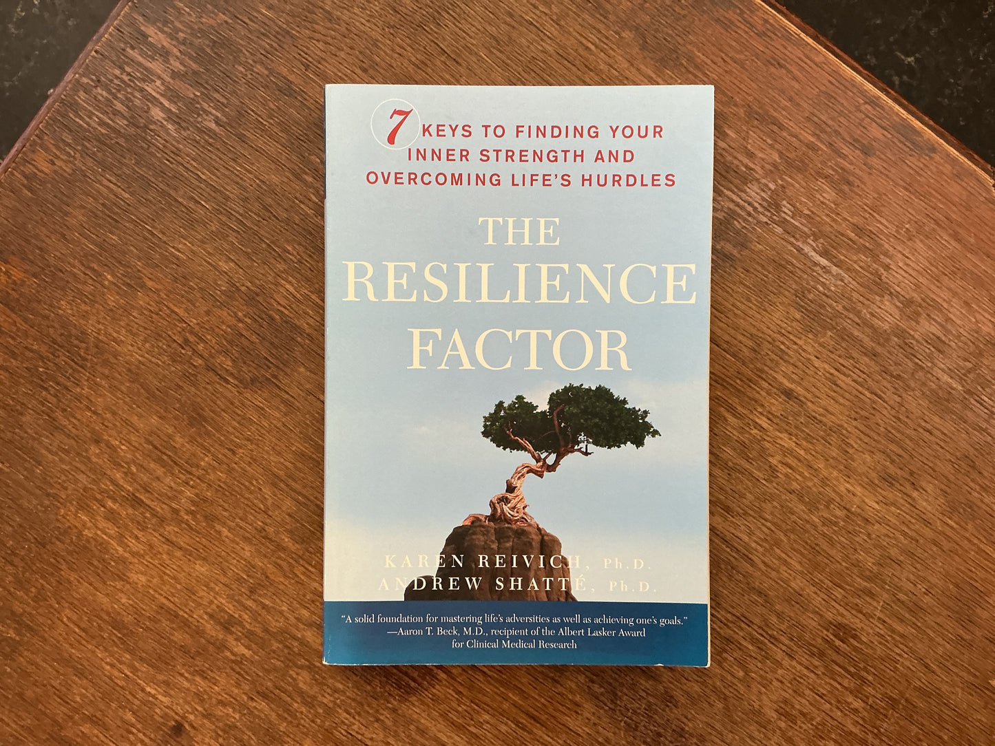 The Resilience Factor: 7 Keys to Finding Your Inner Strength and Overcoming Life's Hurdles by Karen Reivich