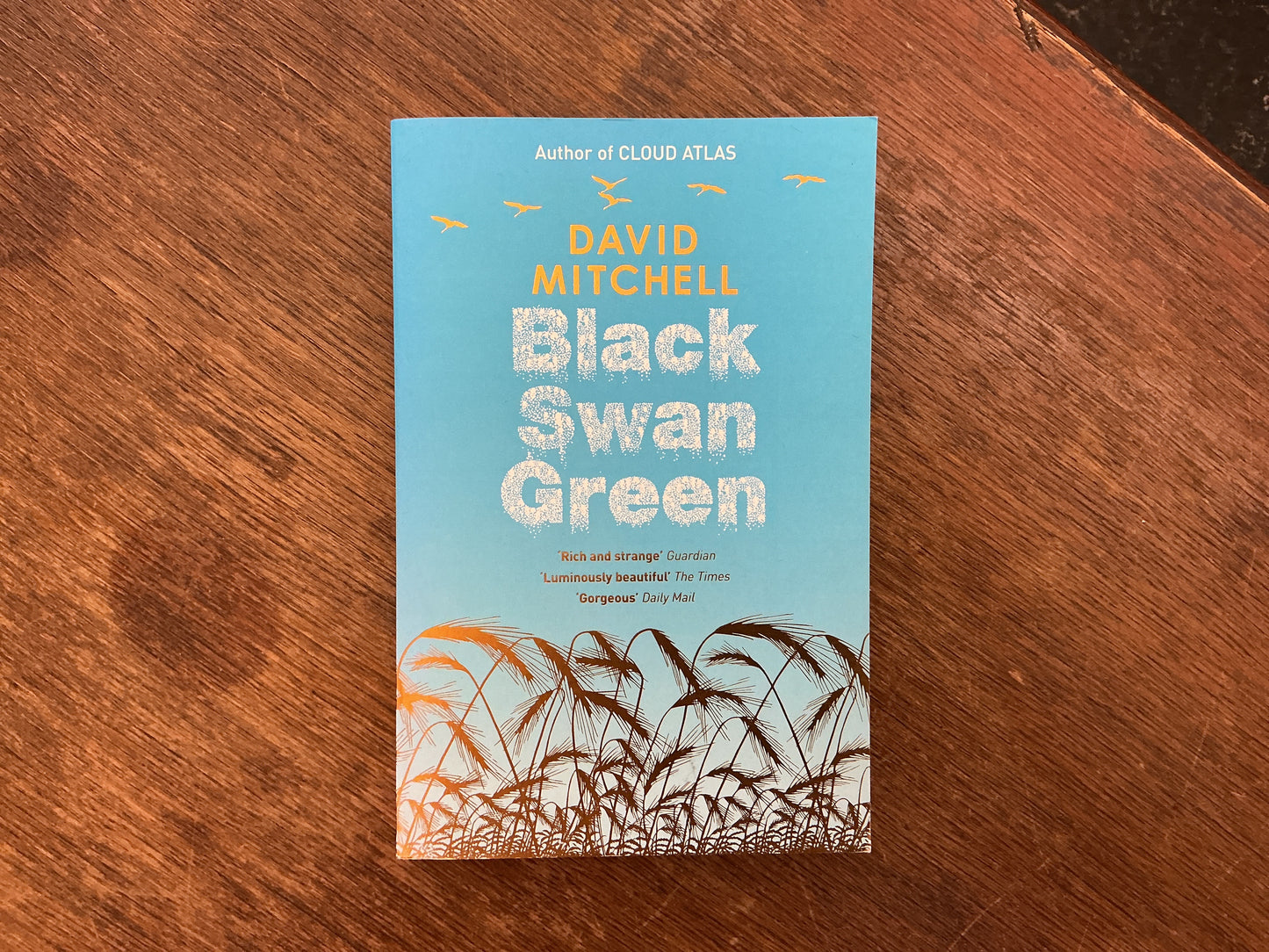 Black Swan Green by David Mitchell