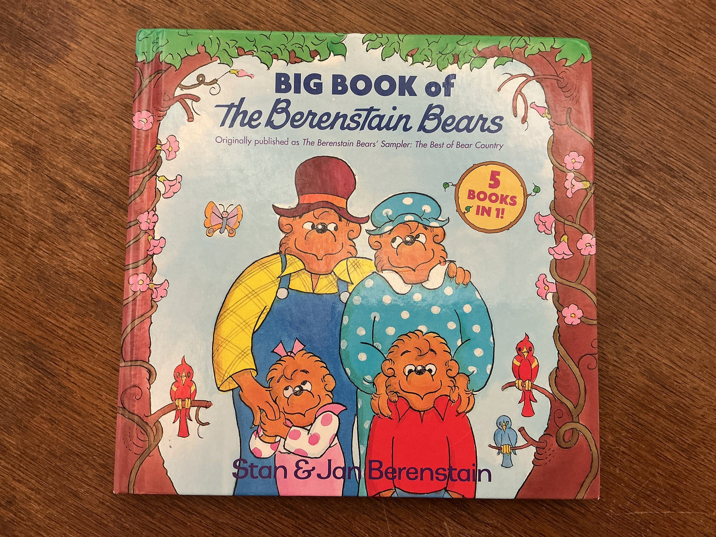 Big Book of the Berenstain Bears