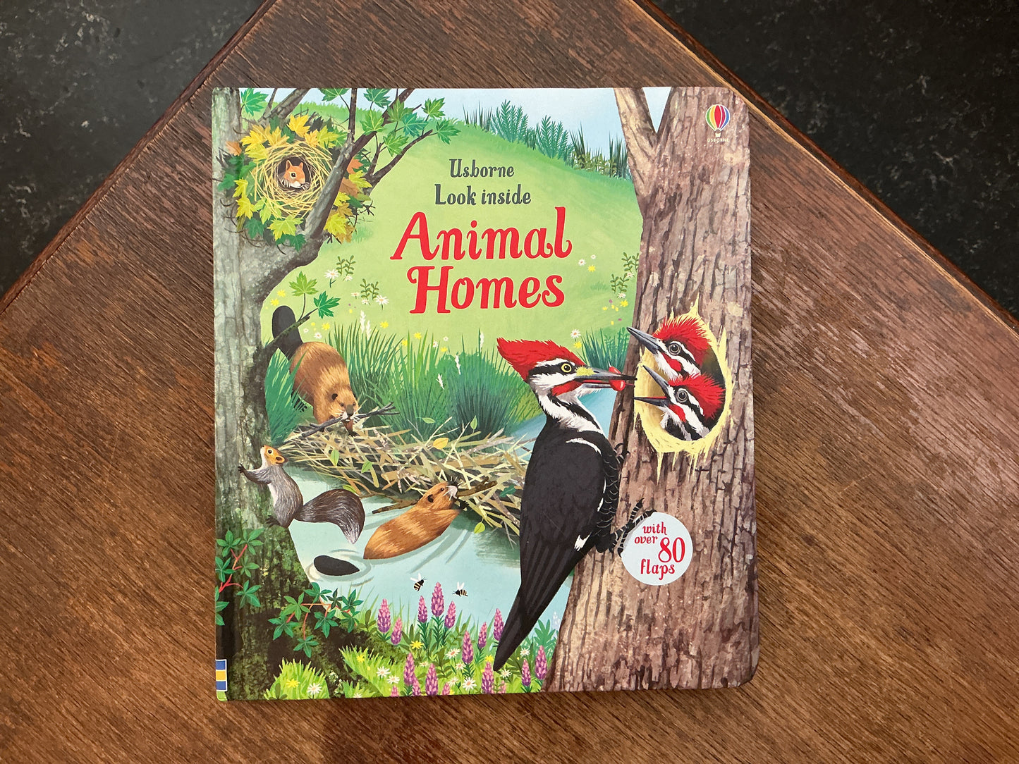 Look Inside Nature by Emily Bone and Maribel Lechuga