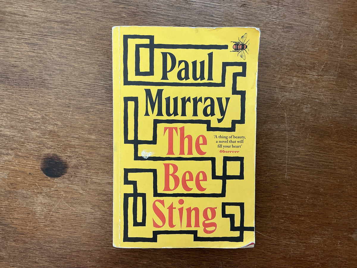 The Bee Sting by Paul Murray