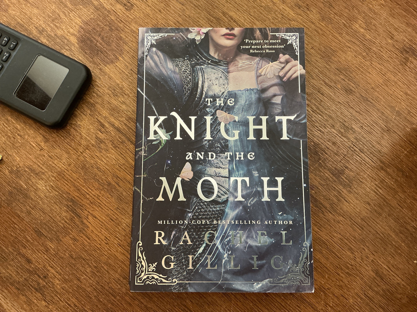 The Knight and the Moth by Rachel Gillig