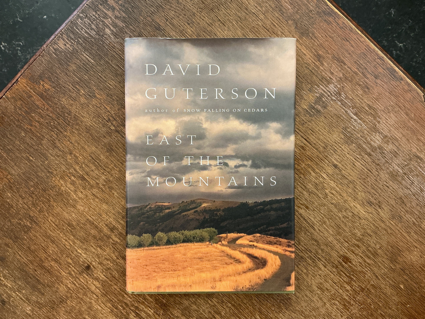 East of the Mountains by David Guterson