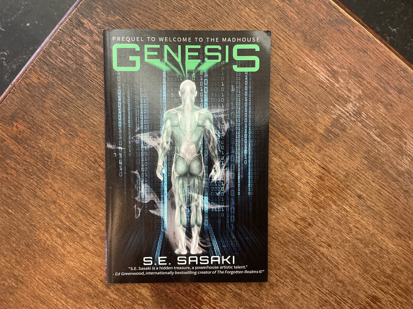 Genesis: Prequel to Welcome to the Madhouse by S. E. Sasaki