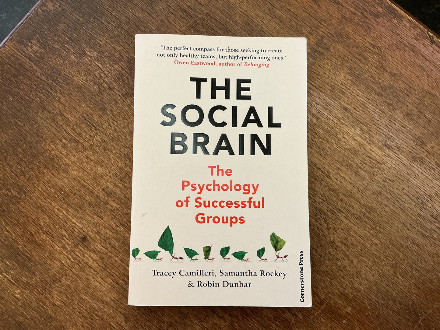 The Social Brain: The Psychology of Successful Groups by Tracey Camilleri