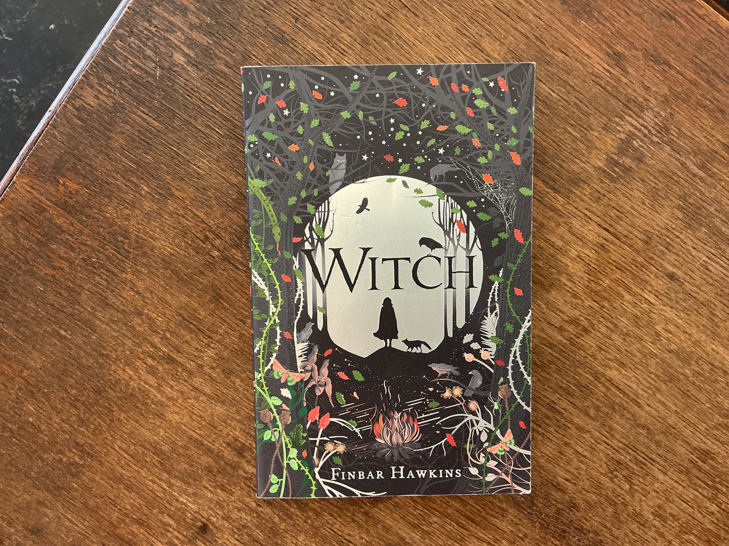 Witch by Finbar Hawkins