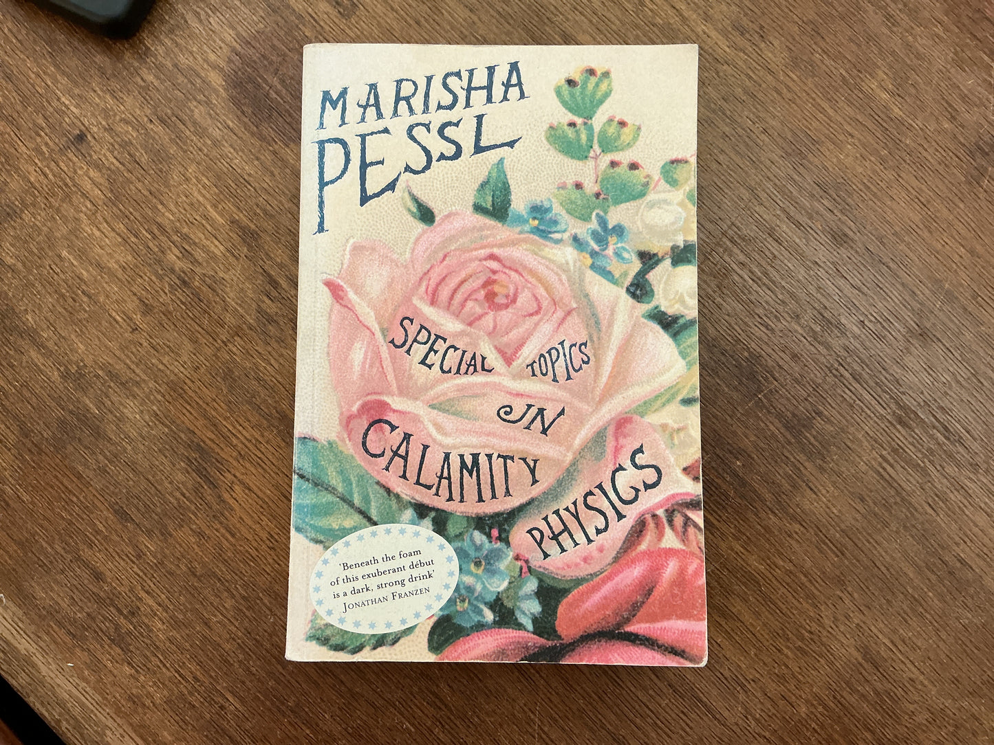 Special Topics in Calamity Physics