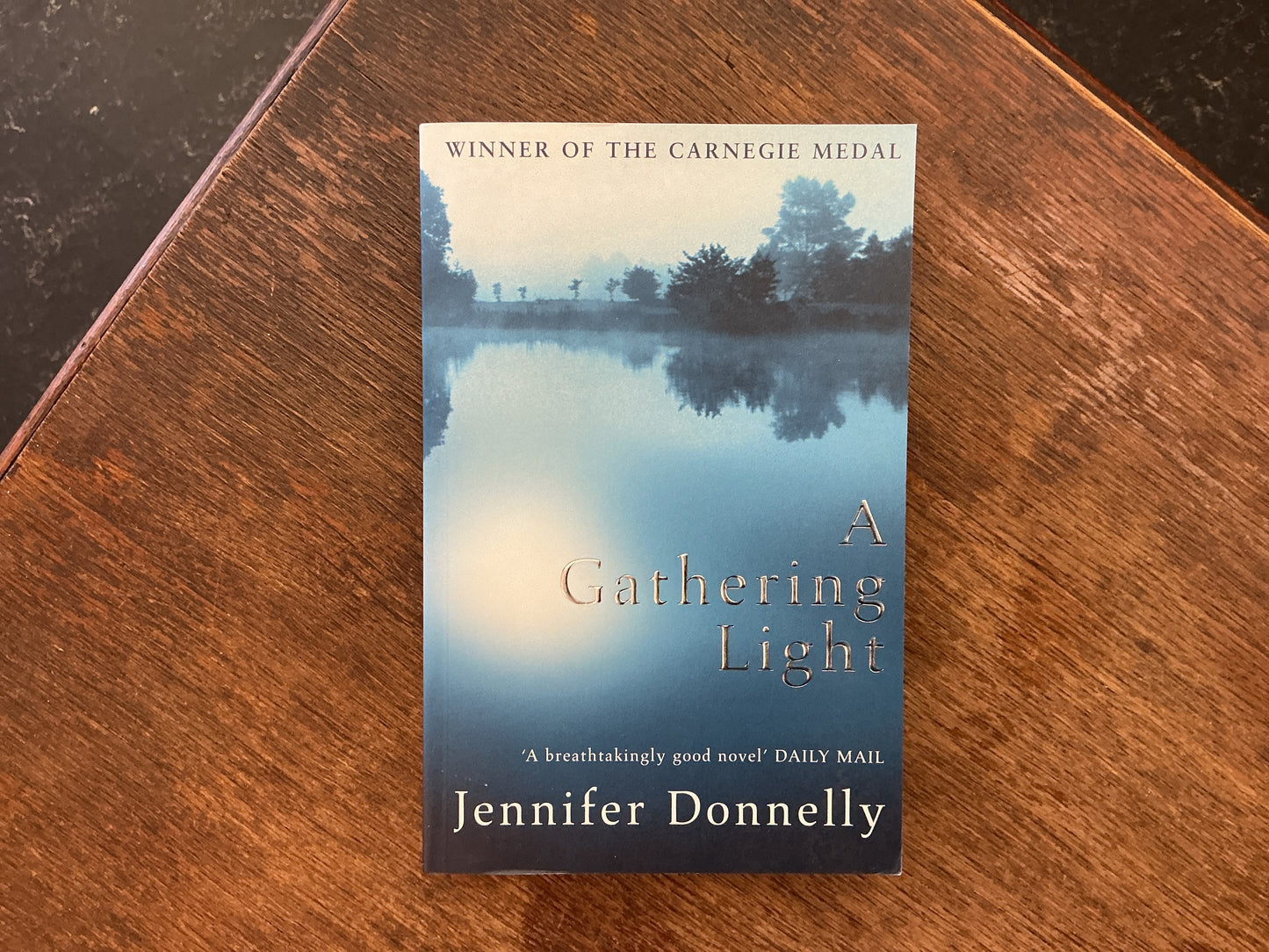 A Gathering Light by Jennifer Donnelly
