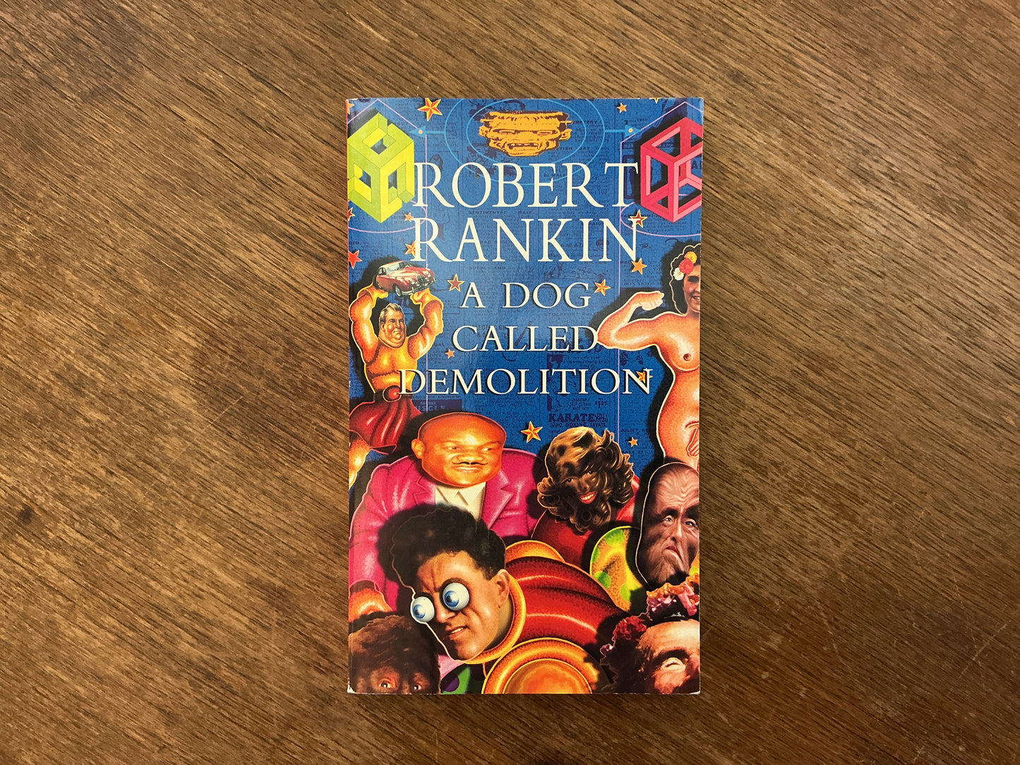 A Dog Called Demolition by Robert Rankin