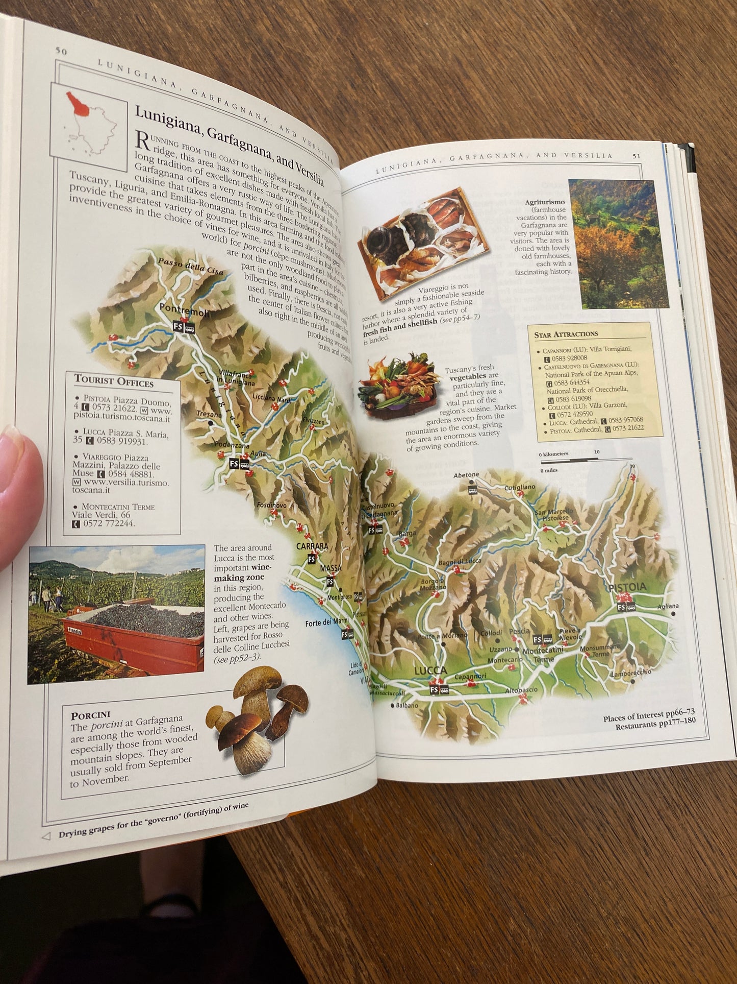 A Taste of Tuscany (Eyewitness Travel Guides)