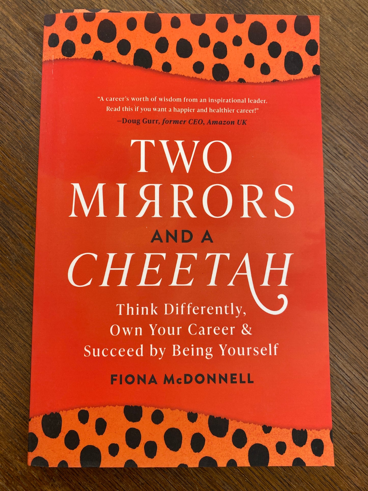 Two Mirrors and a Cheetah: Think Differently, Own Your Career & Succeed by Being Yourself
