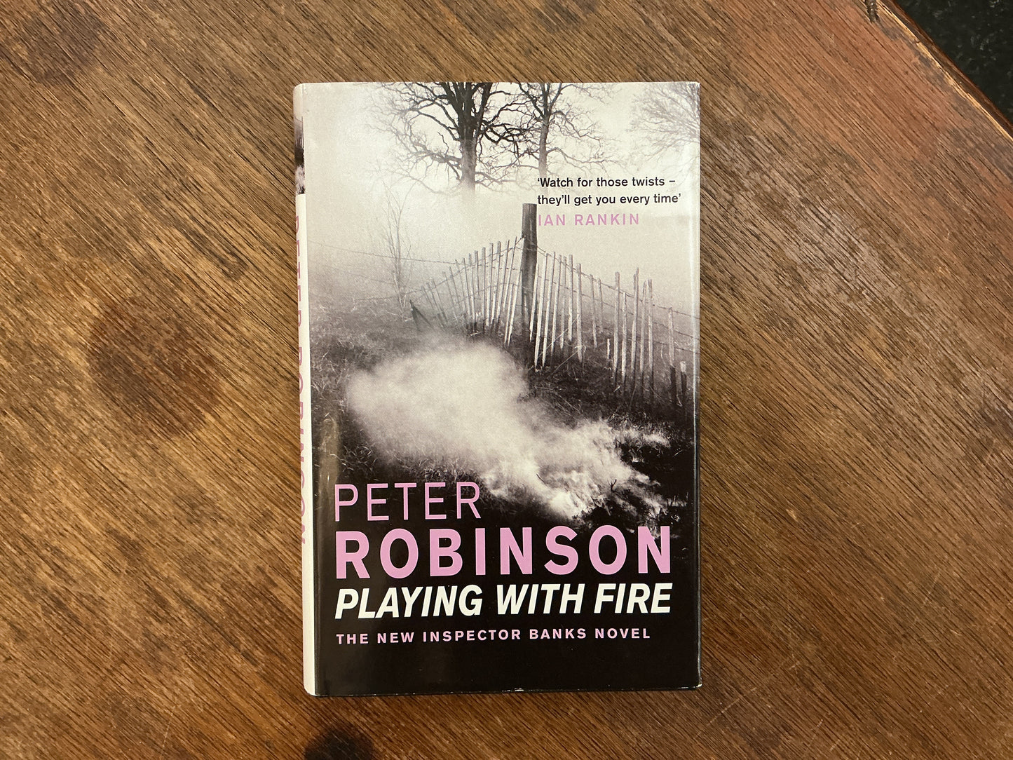 Playing With Fire by Peter Robinson