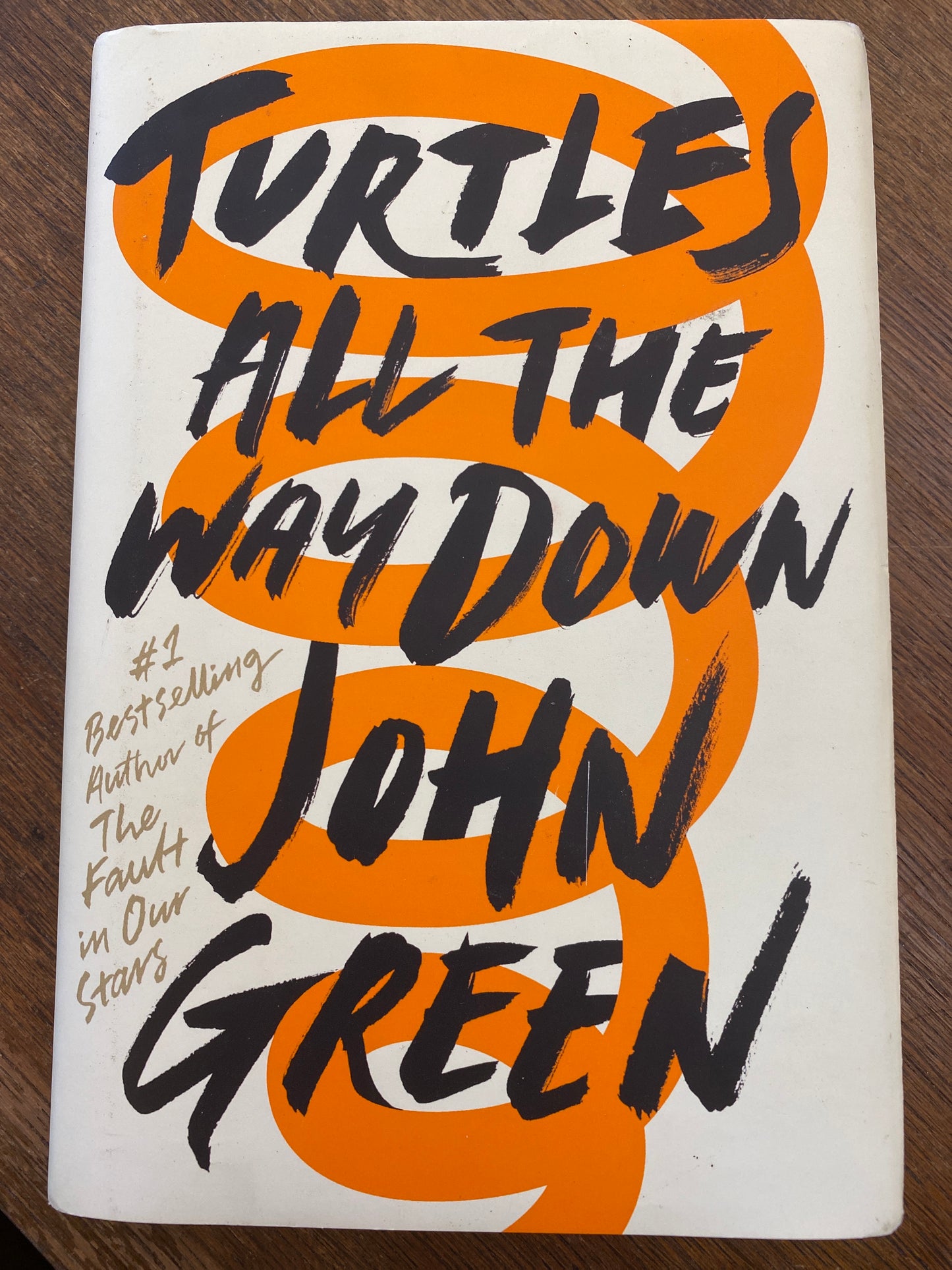 Turtles all the way down by John Green