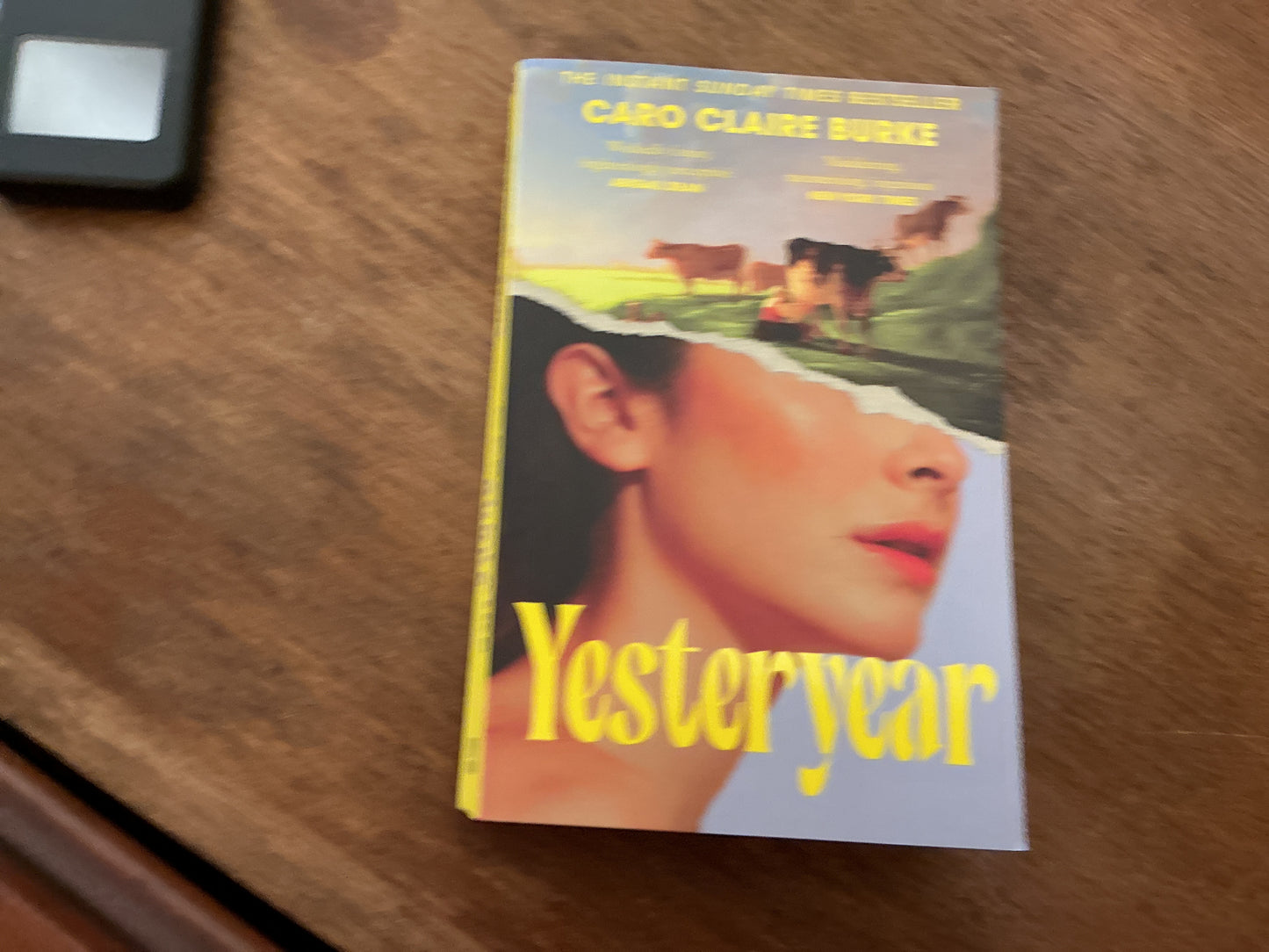 Yesteryear by Caro Claire Burke