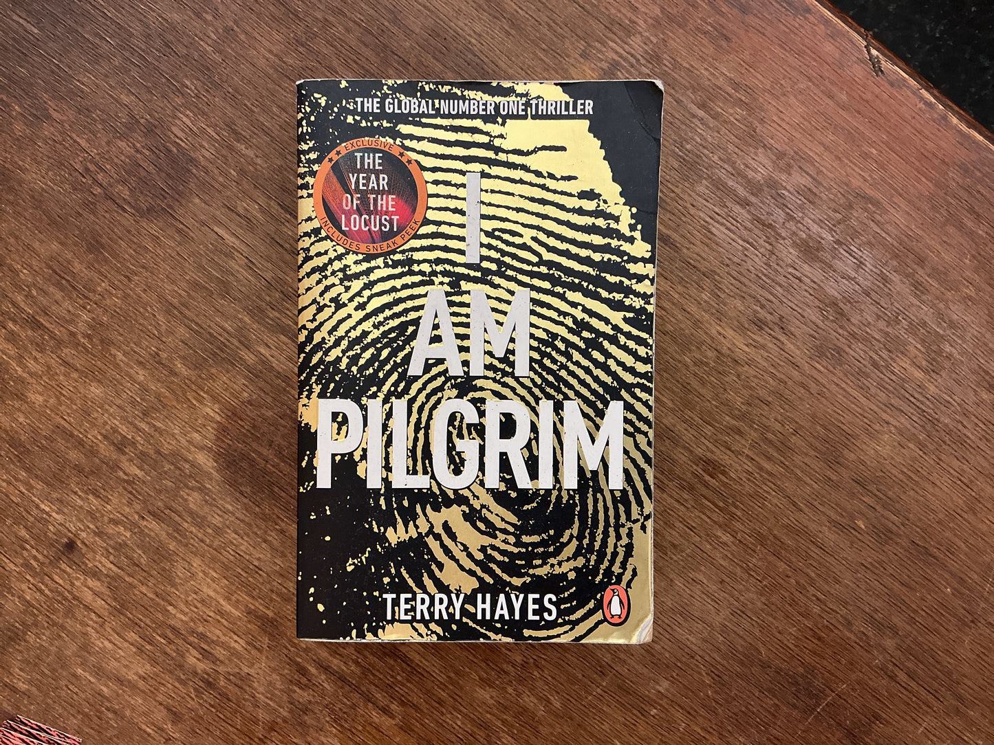 I Am Pilgrim by Terry Hayes