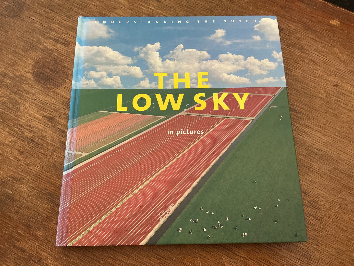 The low sky in pictures: understanding the Dutch : the book that makes the Netherlands feel familiar