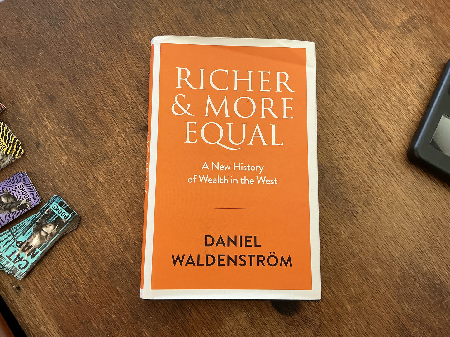 Richer and More Equal: A New History of Wealth in the West
