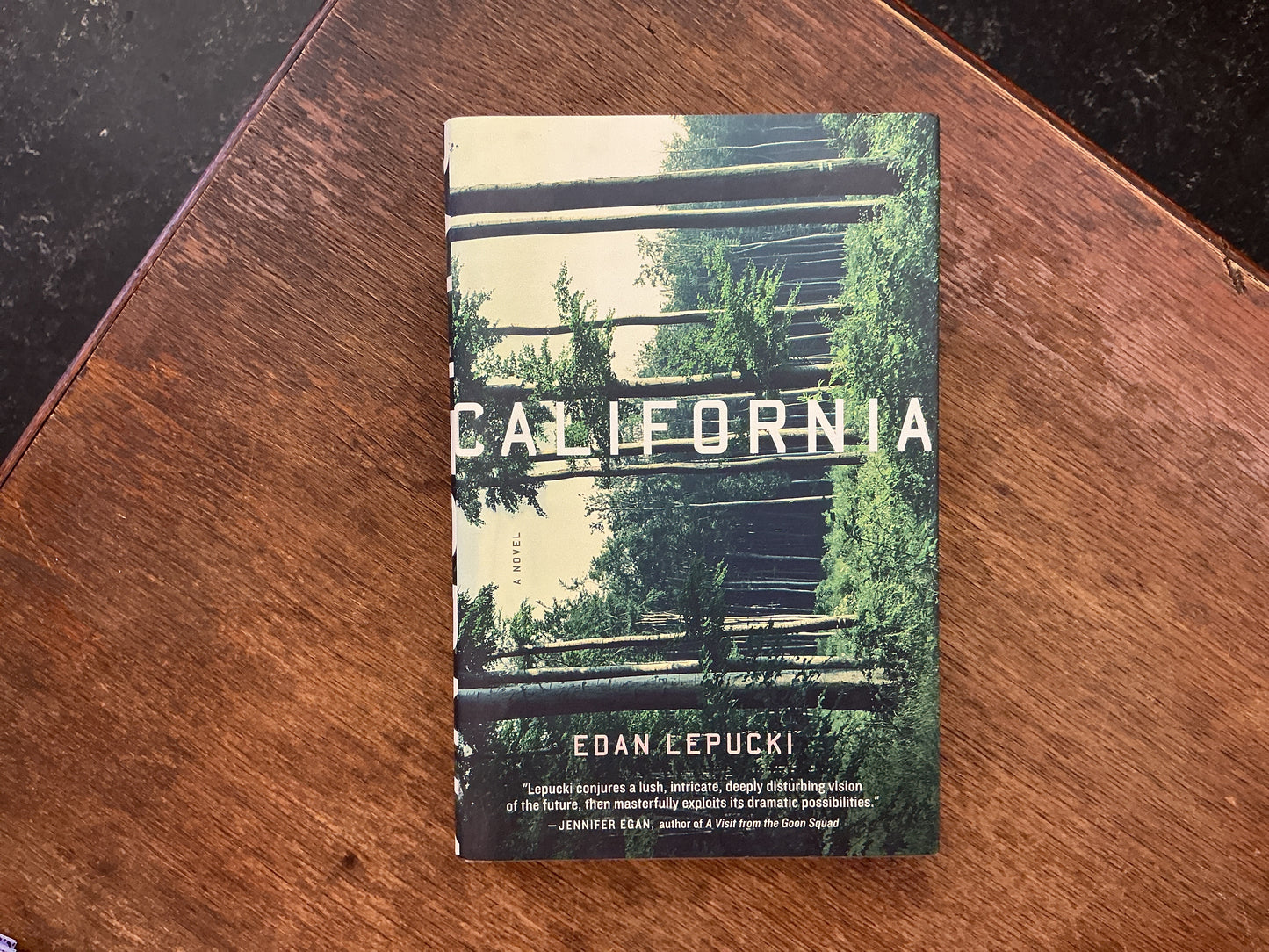 California: A Novel by Edan Lepucki