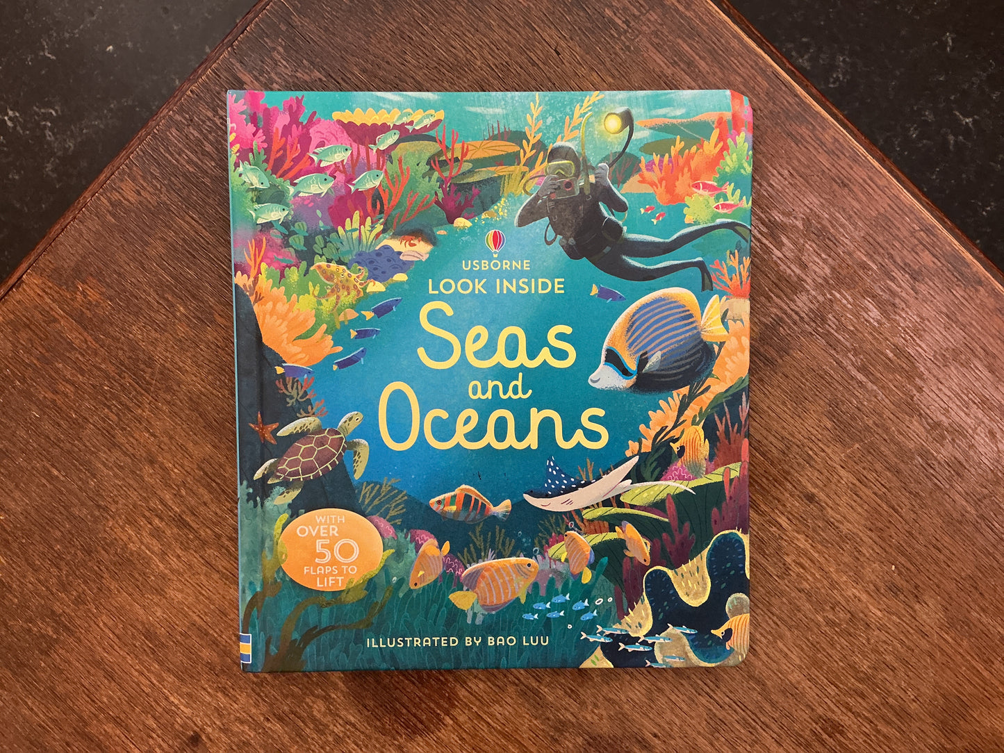 Look Inside Seas and Oceans by Bao Luu