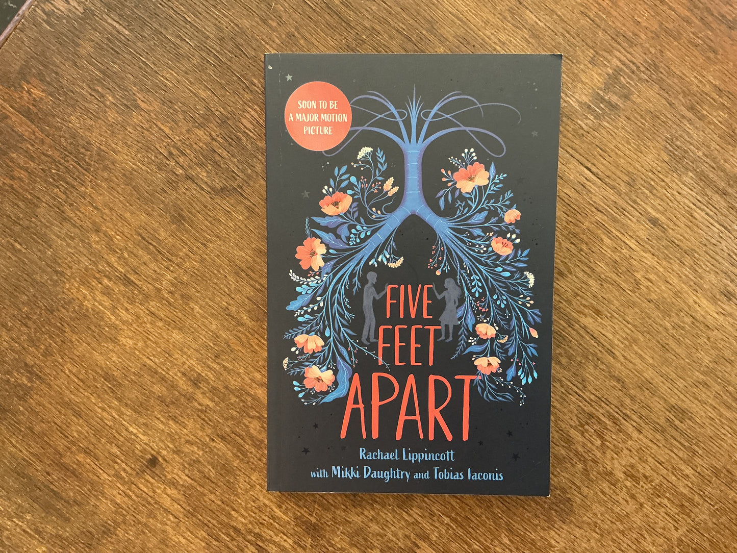 Five Feet Apart by Rachael Lippincott