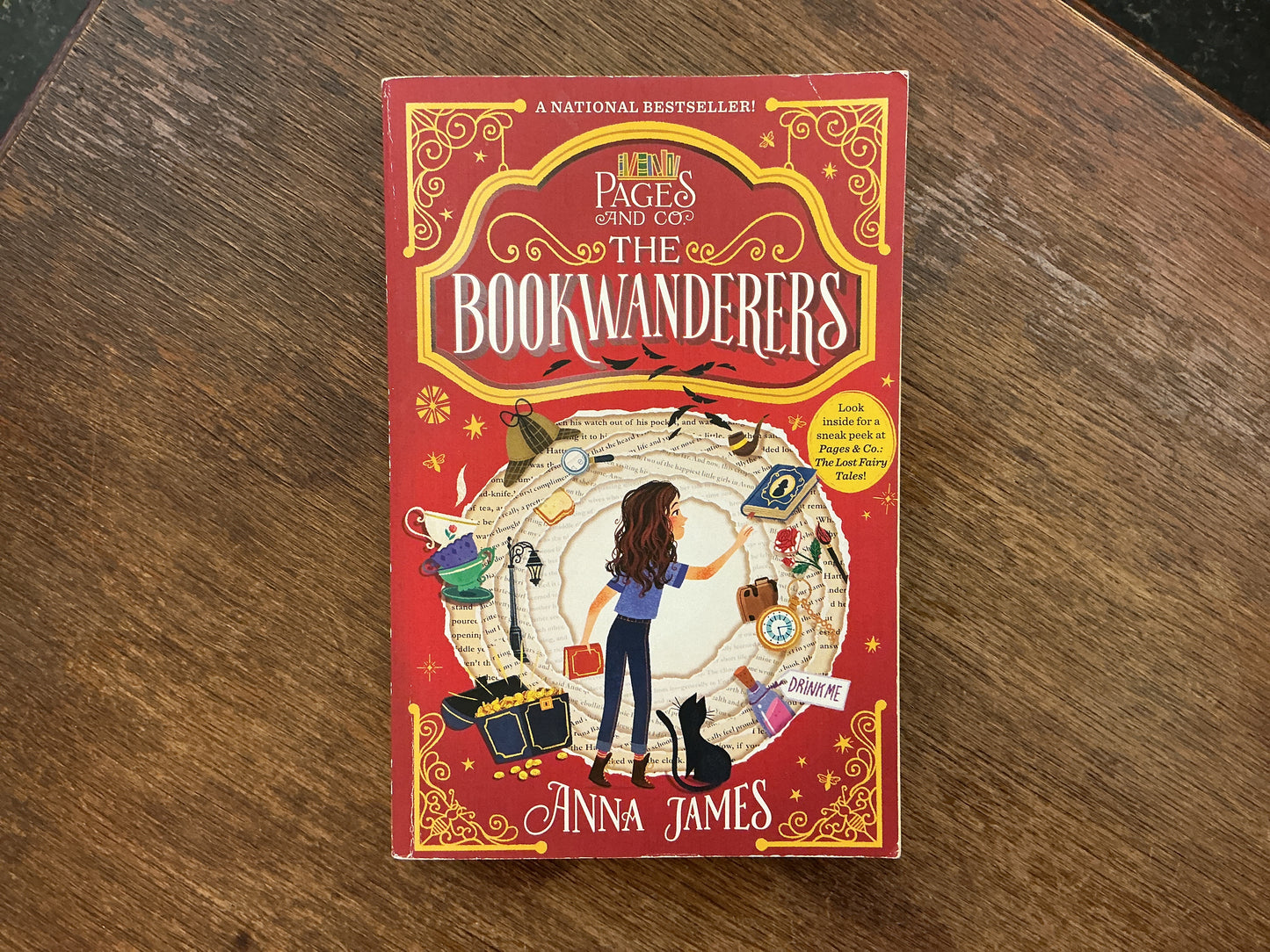 Pages & Co.: The Bookwanderers #1 by Anna James