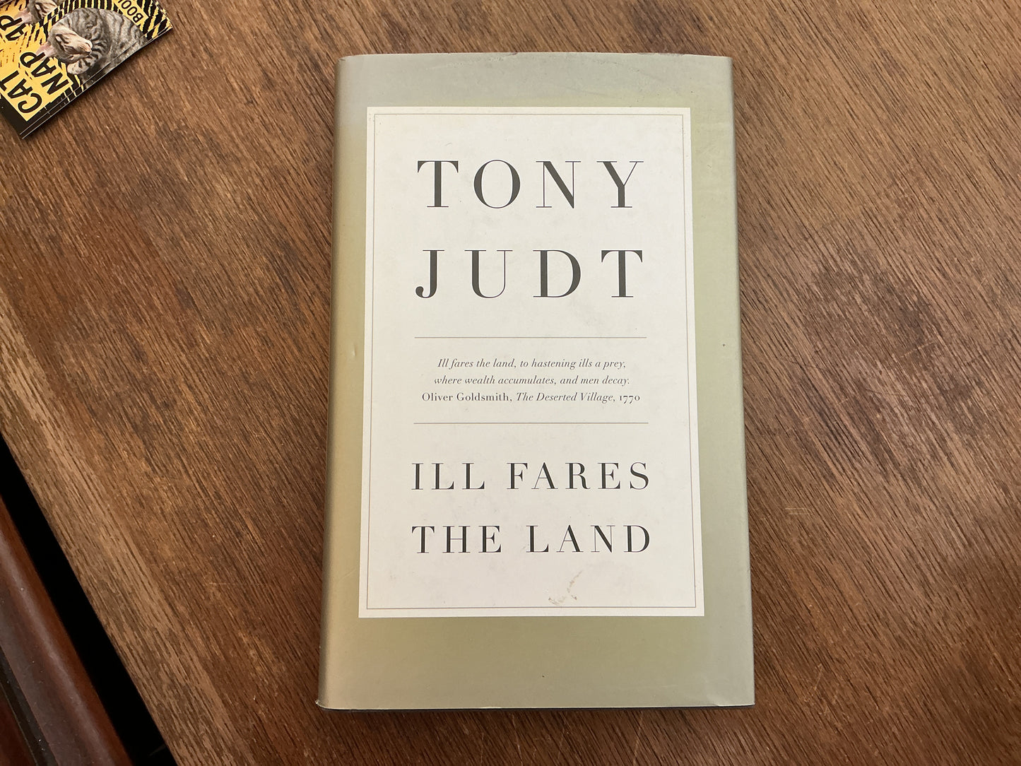Ill Fares The Land: A Treatise On Our Present Discontents