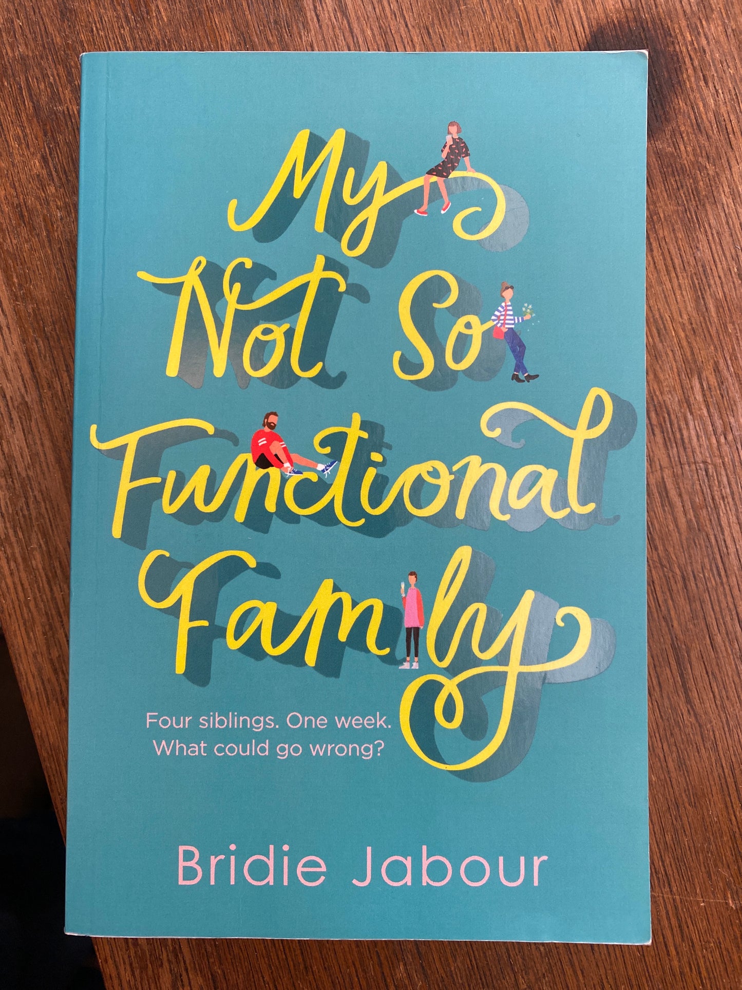 My Not So Functional Family by Birdie Jabour