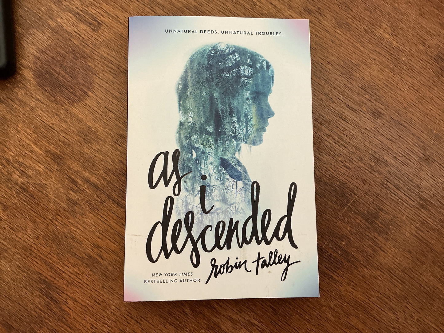 As I Descended by Robin Talley