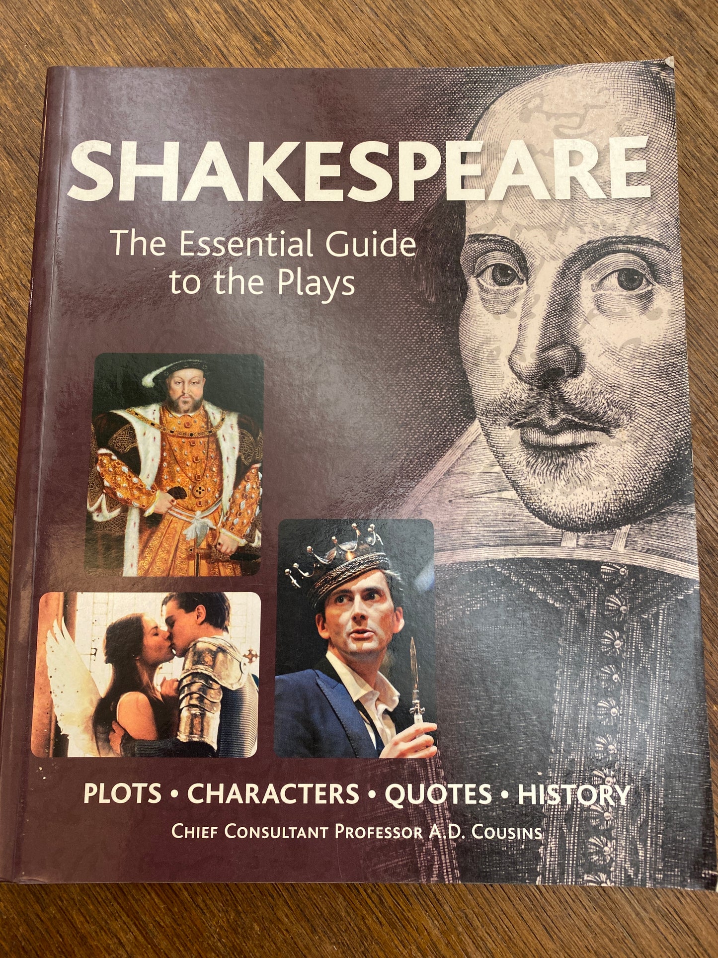 Shakespeare: The Essential Guide to the Plays