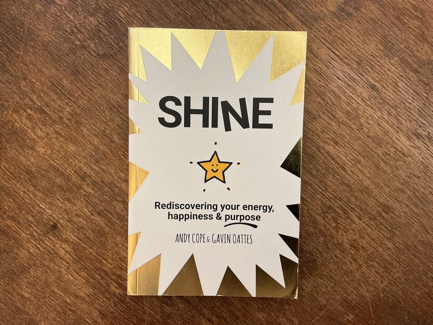 Shine: Rediscovering Your Energy, Happiness and Purpose by Andy Cope & Gavin Oattes
