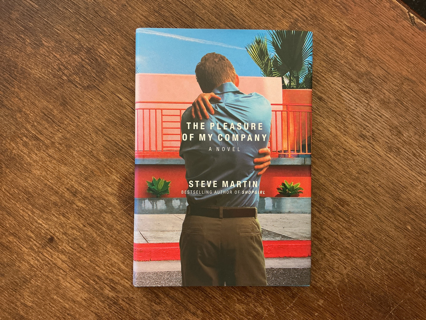 The Pleasure of My Company: A Novel by Steve Martin