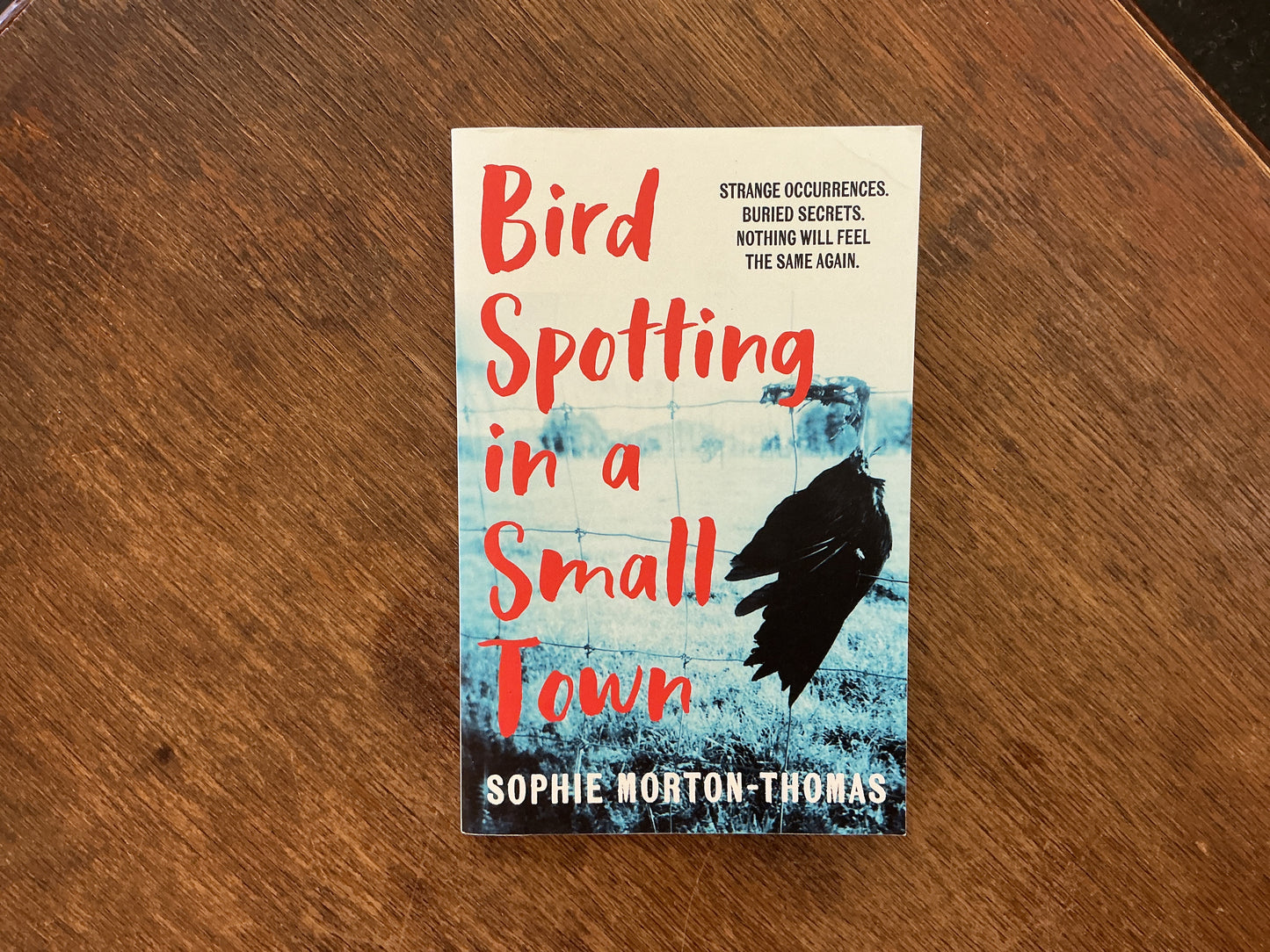 Bird Spotting In A Small Town by Sophie Morton-Thomas