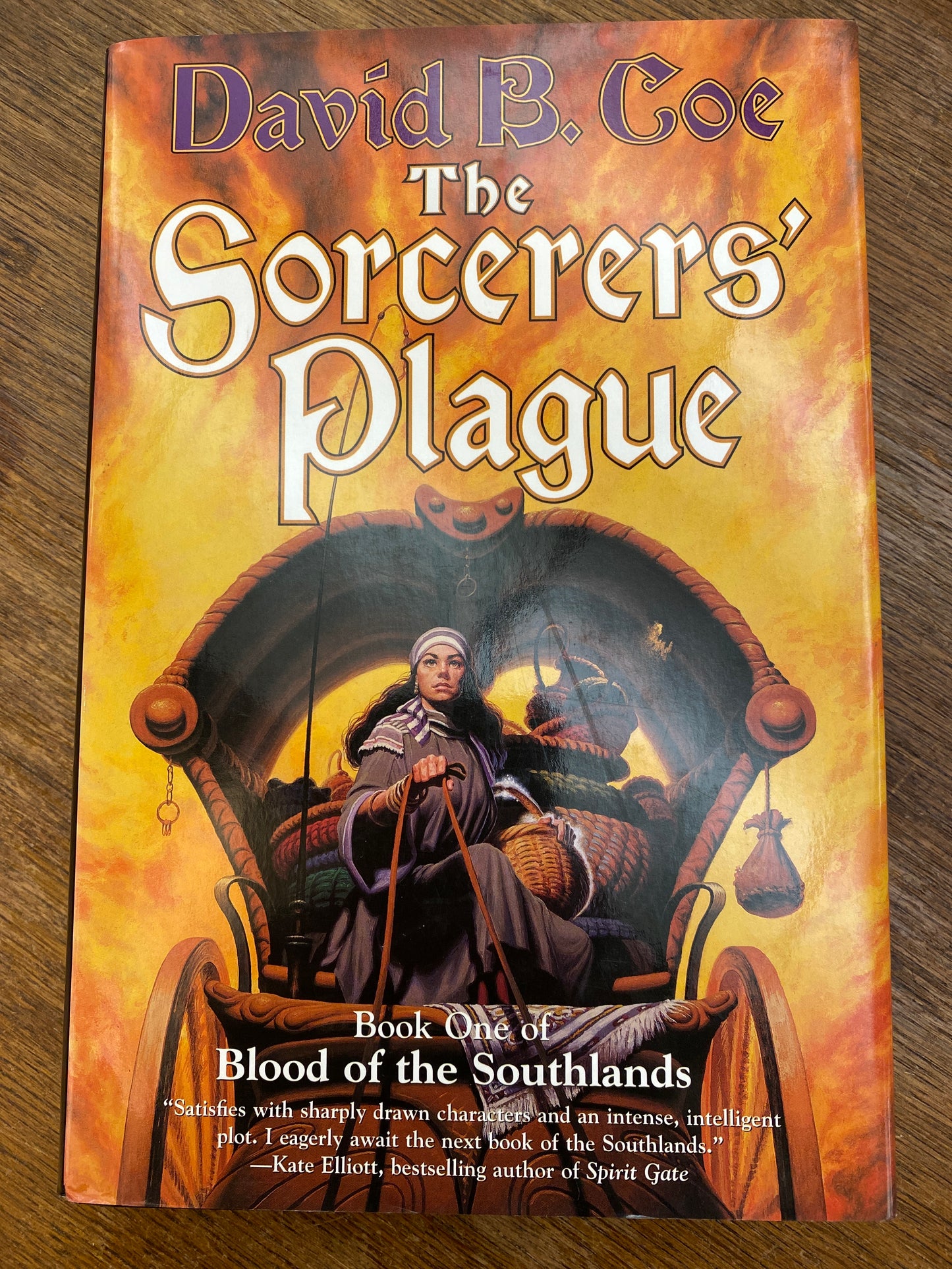 The Sorcerers' Plague: Book One of Blood of the Southlands by David B. Coe