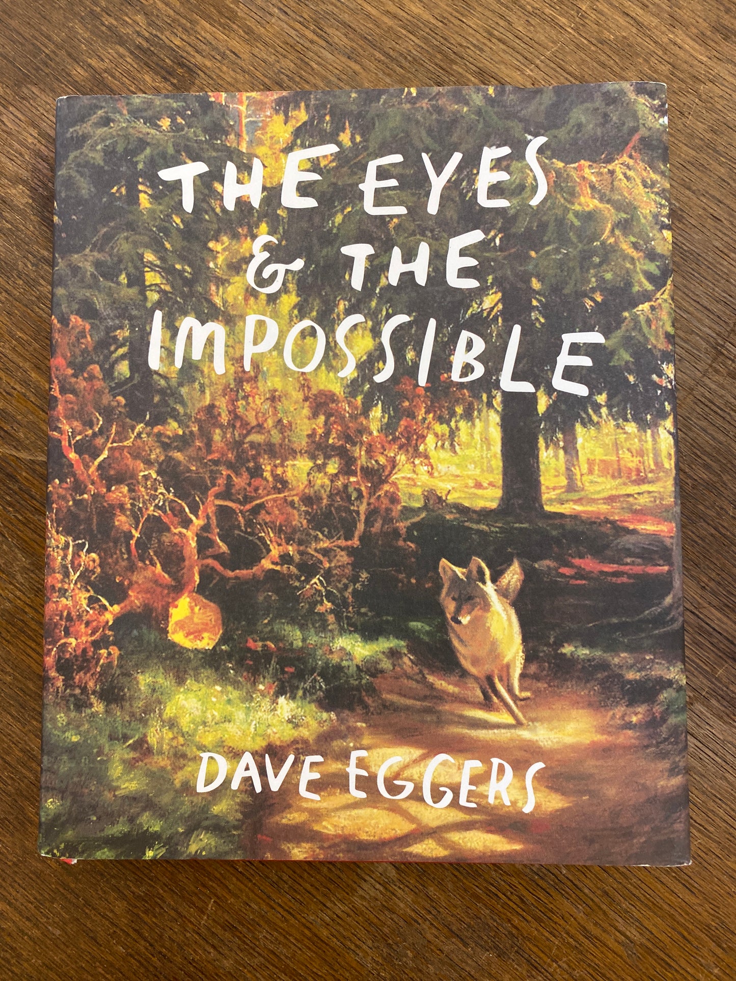 The Eyes and the Impossible by David Eggers