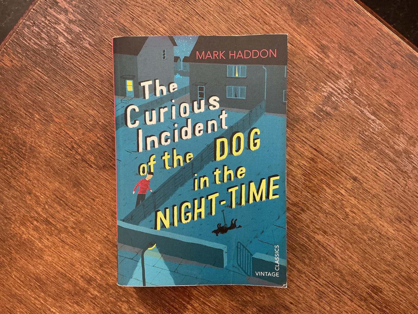 The Curious Incident of the Dog in the Night-time by Mark Haddon