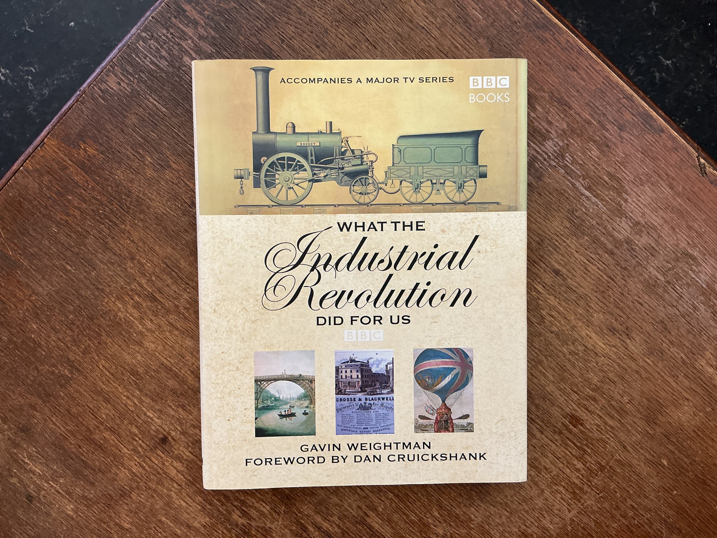 What the Industrial Revolution Did for Us by Gavin Weightman