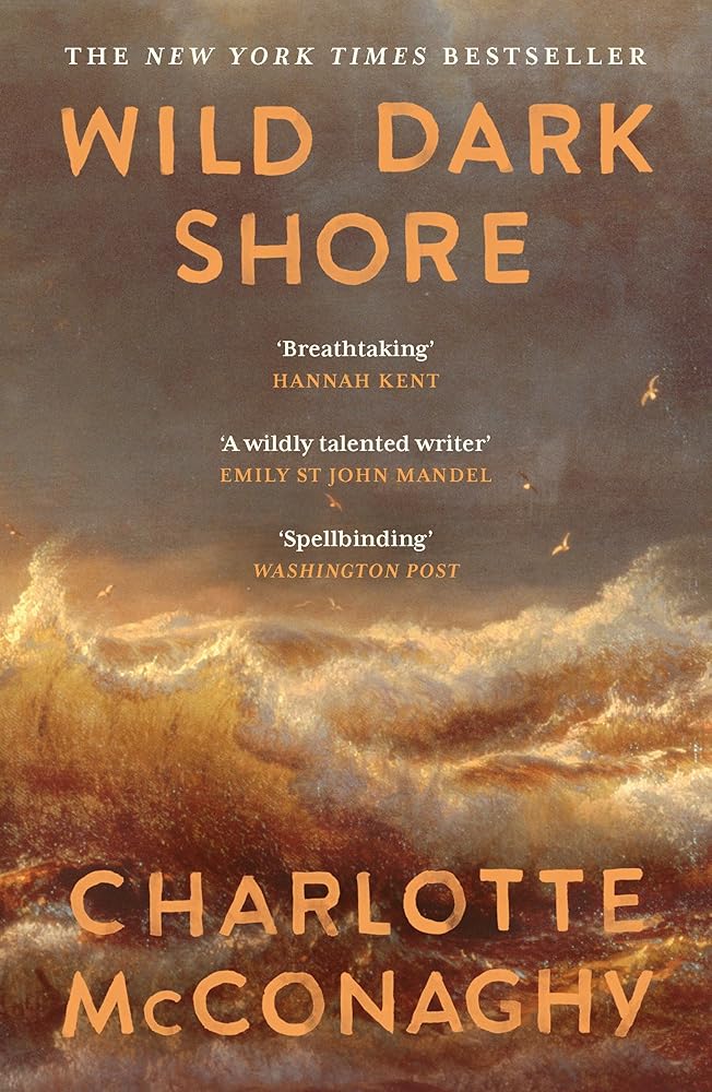 Wild Dark Shore cover image