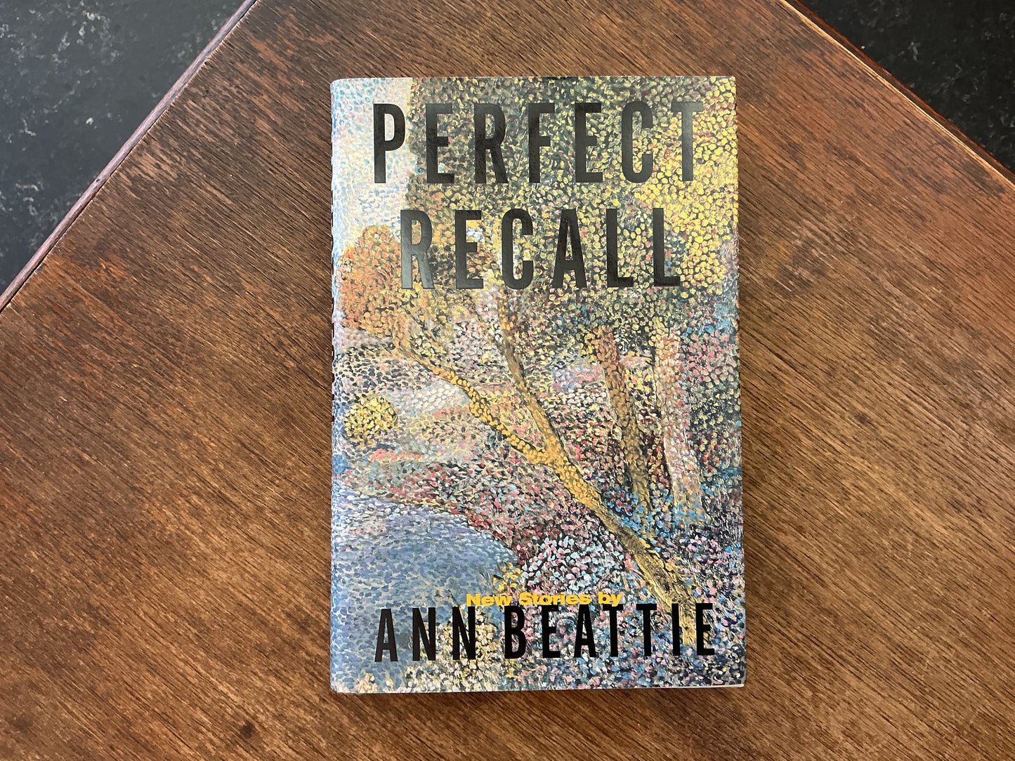 Perfect Recall by Ann Beattie