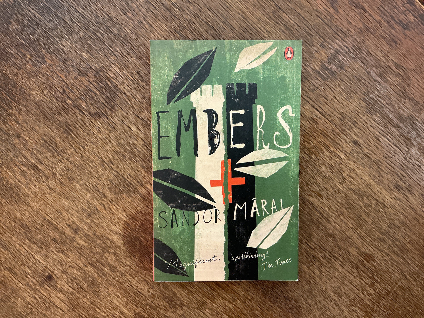 Embers by Matt Lawrence Leach