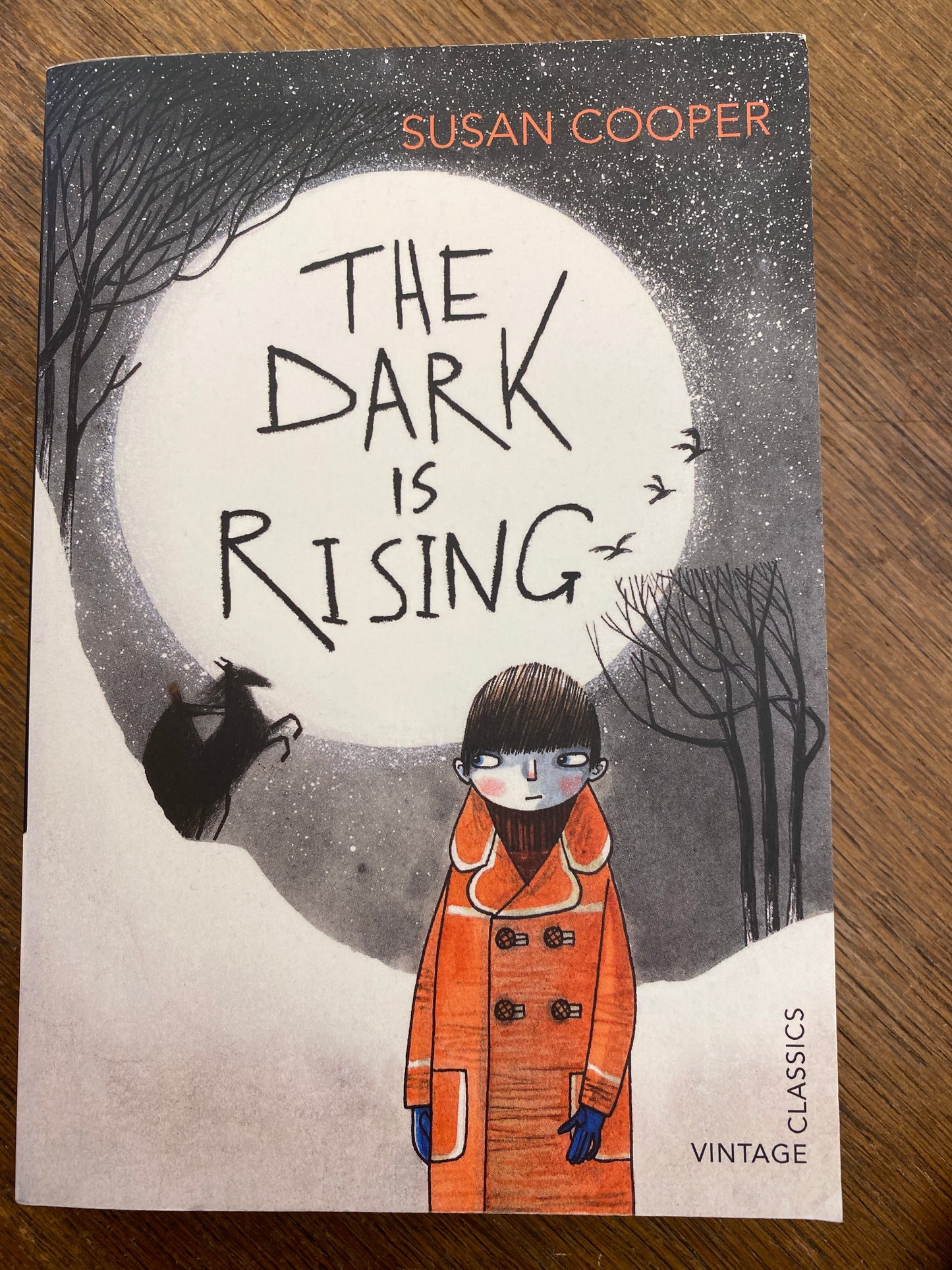 The Dark is Rising by Susan Cooper