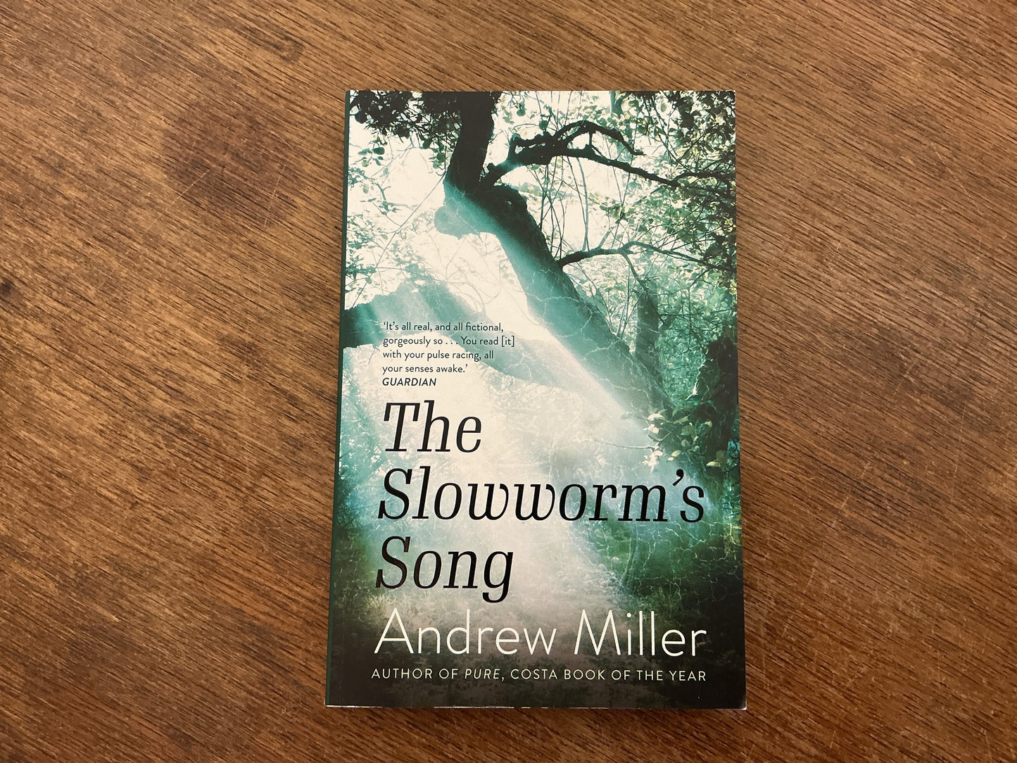 The Slowworm's Song by Andrew Miller