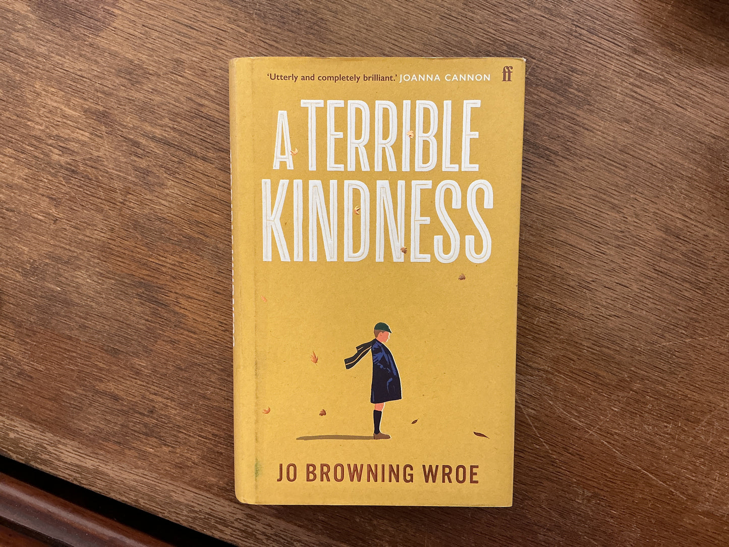 A Terrible Kindness by Jo Browning Wroe