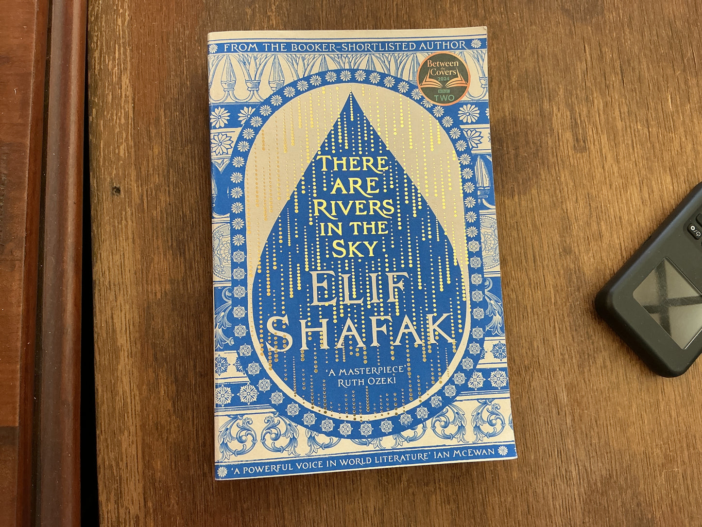 There are Rivers in the Sky by Elif Shafak