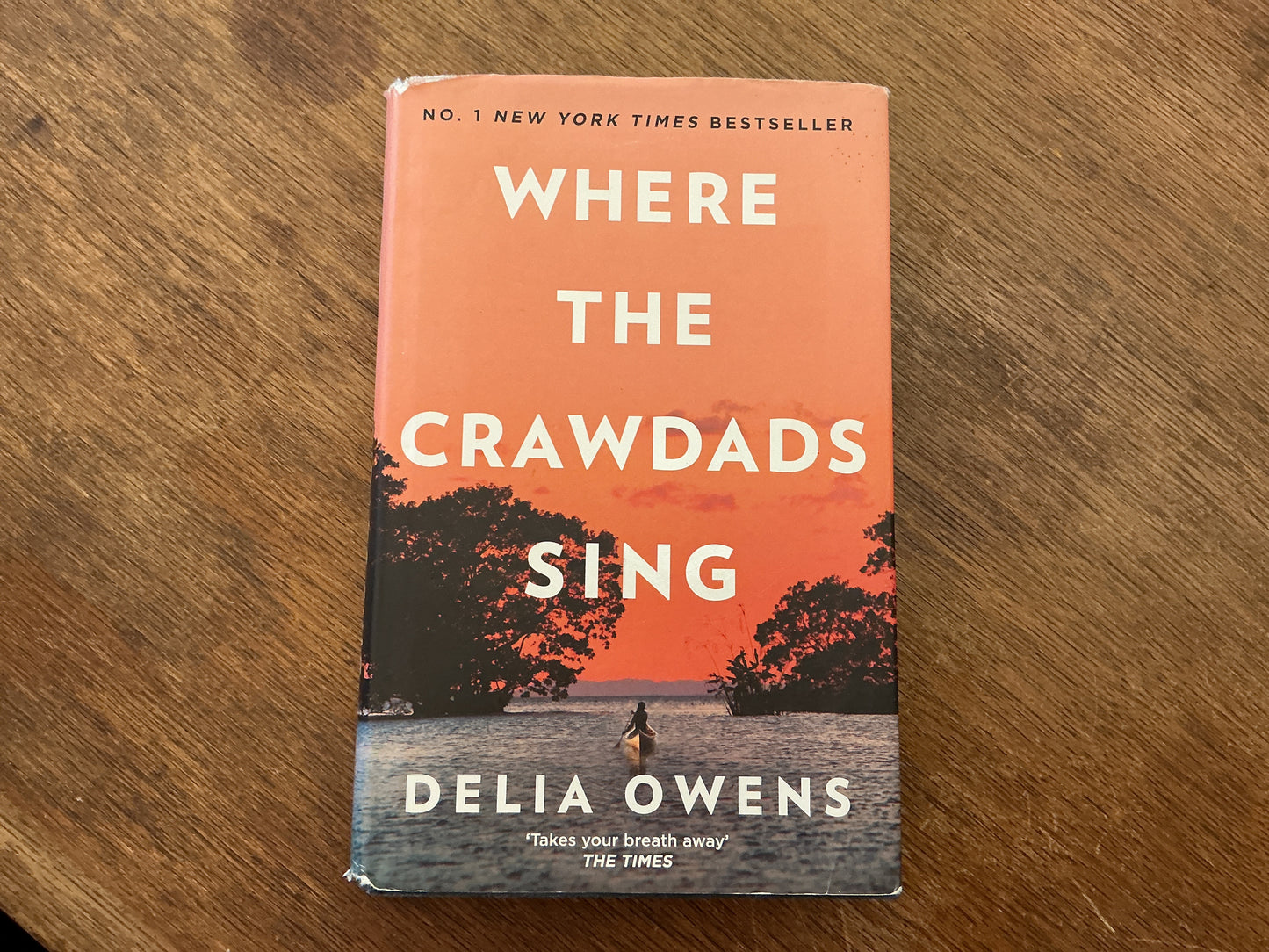 Where the Crawdads Sing by Delia Owen’s