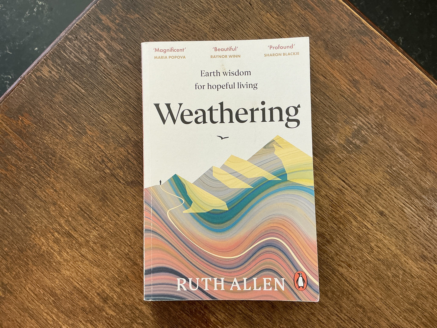 Weathering by Ruth Allen