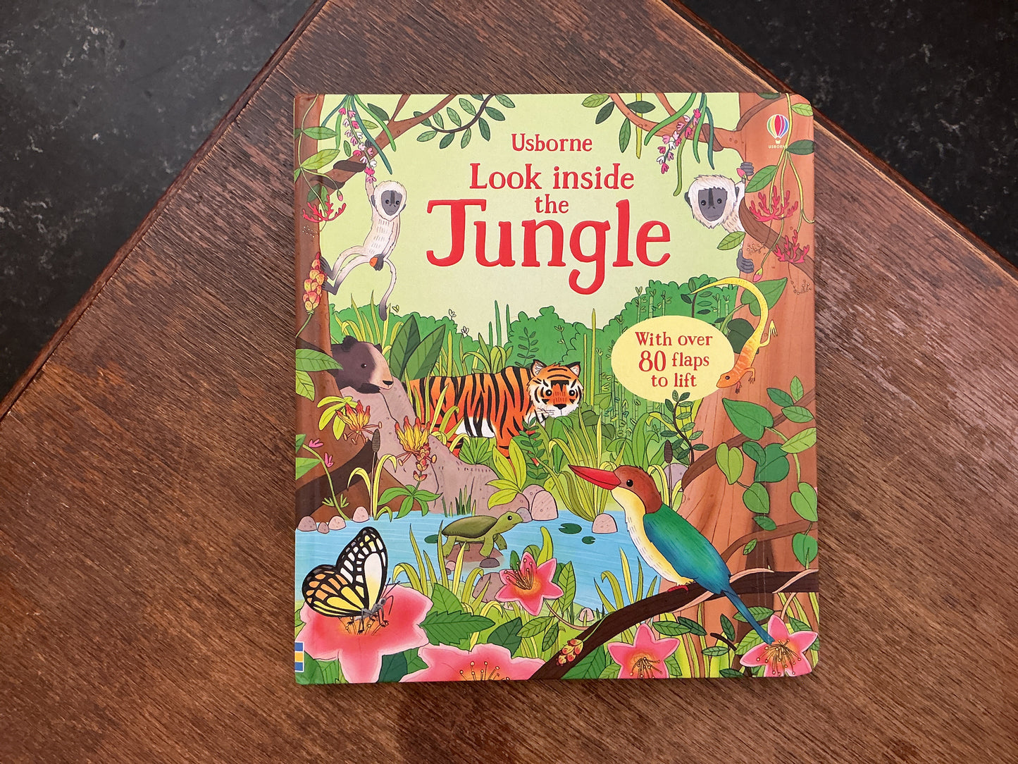 Look Inside the Jungle by Brendan Kearney and Minna Lacey