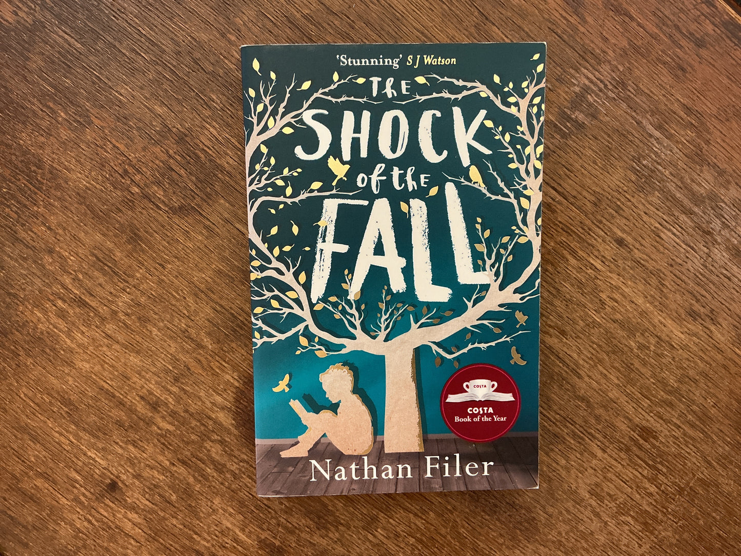The Shock of the Fall by Nathan Filer