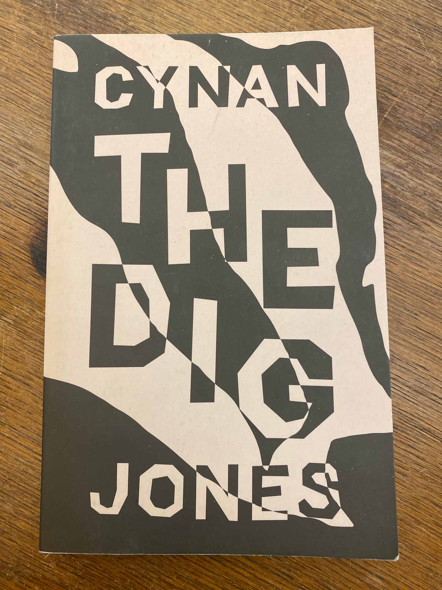 The Dig by Cynan Jones