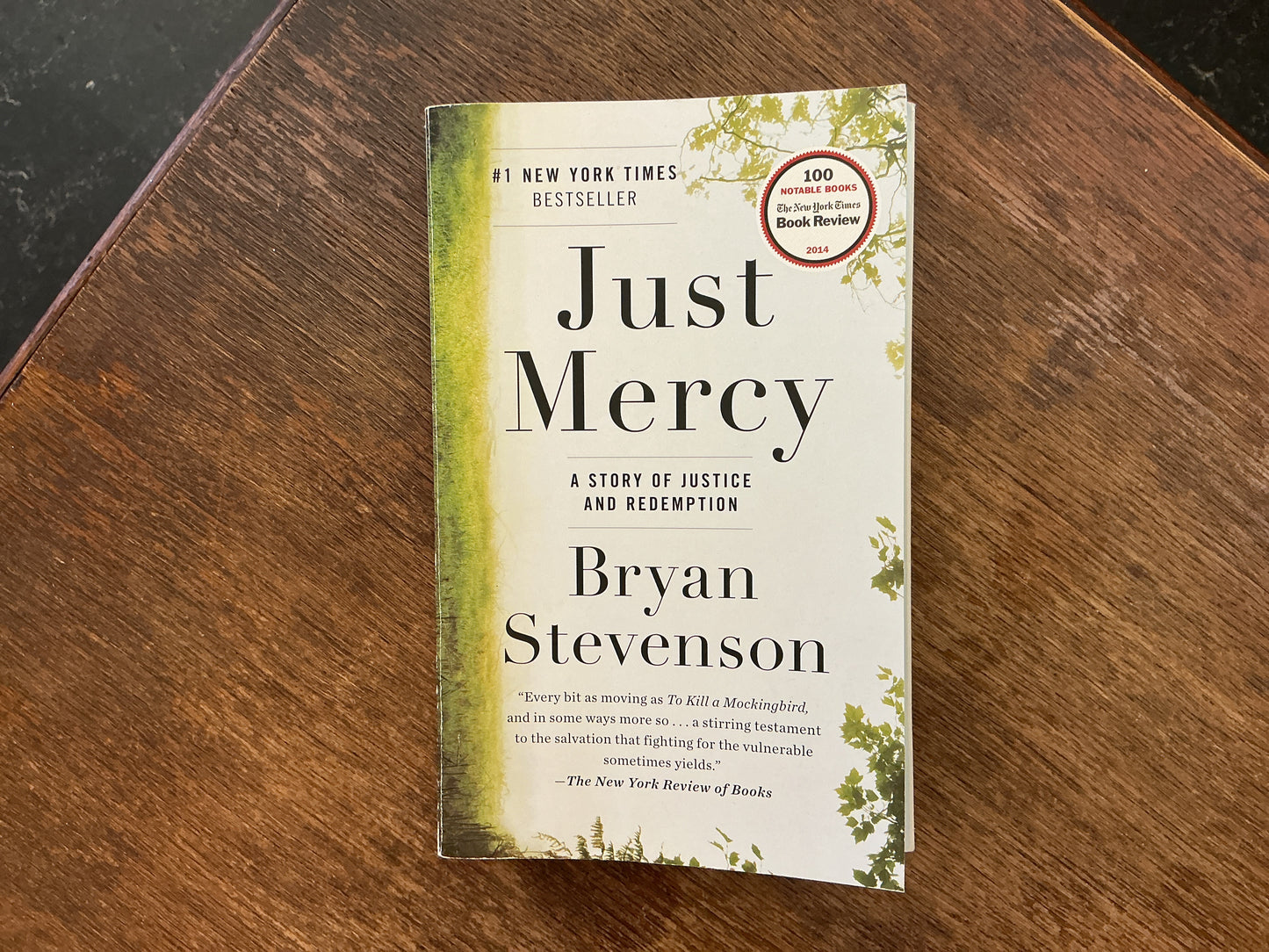Just Mercy: A Story of Justice and Redemption by Bryan Stevenson