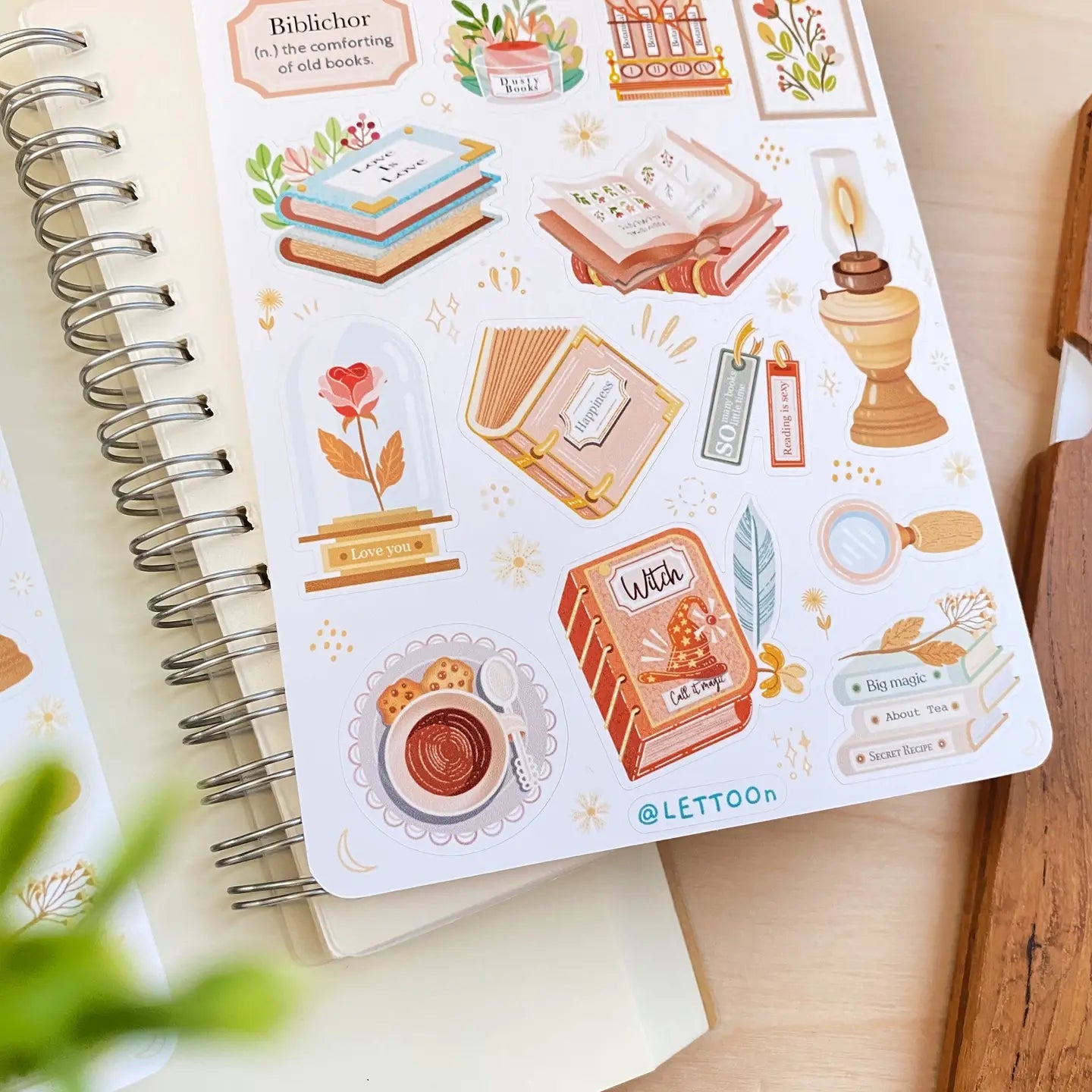 Aesthetic Book sticker sheet